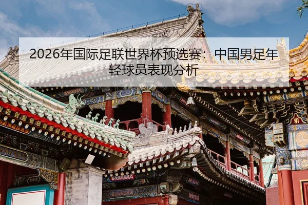 nian-guo-ji-zu-lian-shi-jie-bei-yu-xuan-sai-zhong-guo-nan-zu-nian-qing-qiu-yuan-biao-xian-fen-xi-2-912.jpg