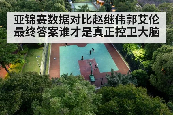 chinese basketball team